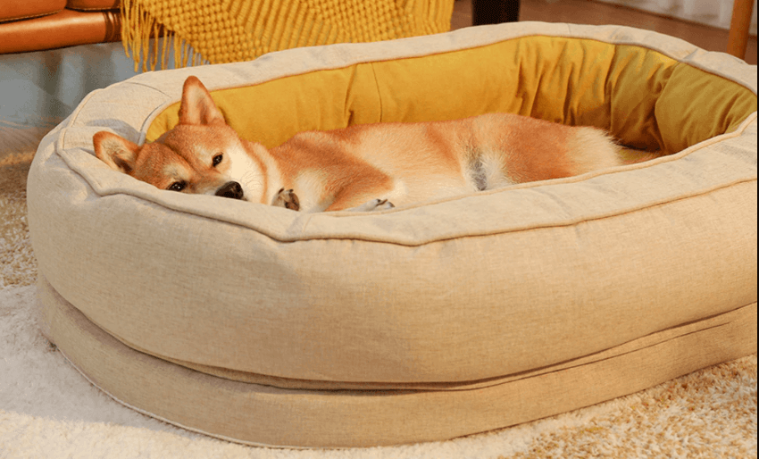 Funny Fuzzy Dog Bed