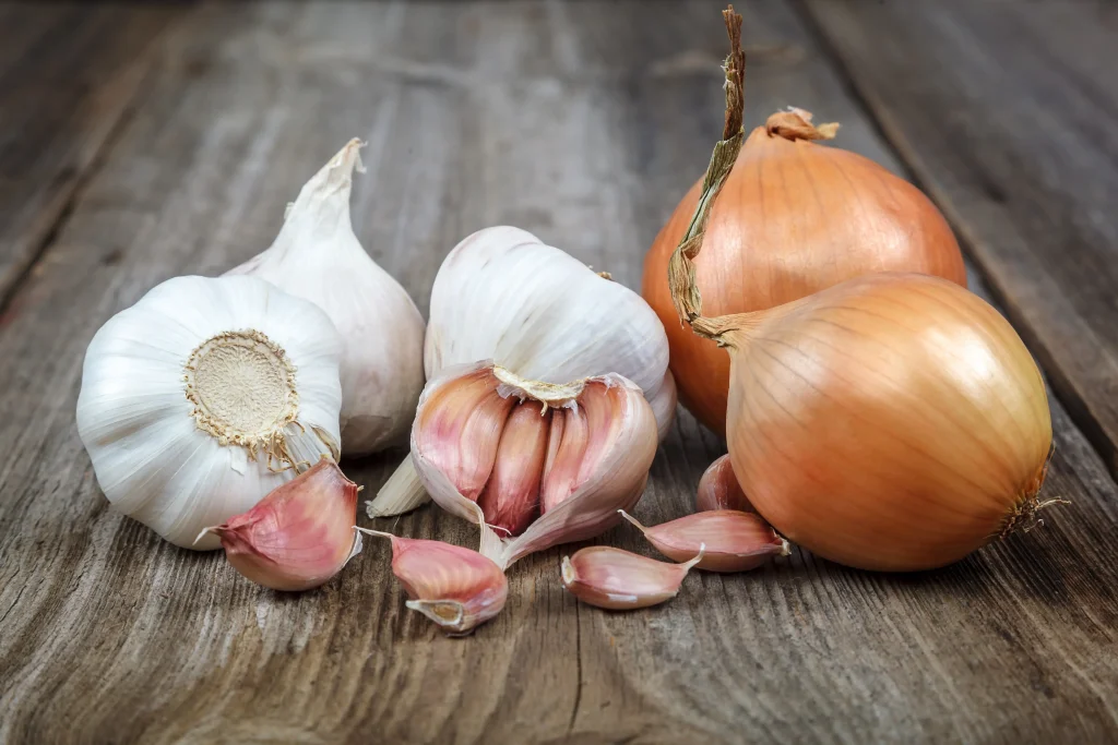Are onions and garlic toxic for cats?