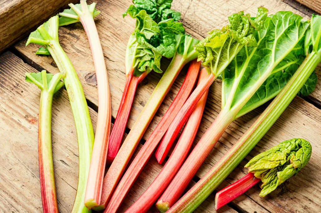 Is rhubarb toxic to cats?