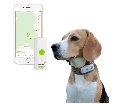 Weenect Dog GPS Tracker