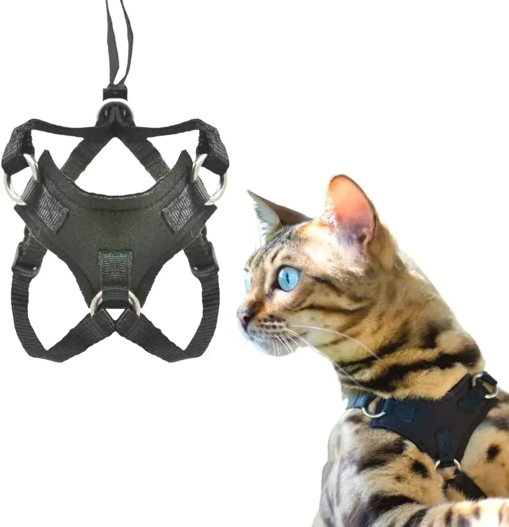 Kitten Harness and Leash Set