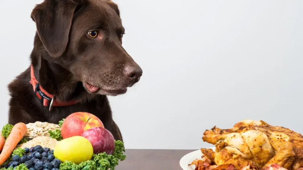 Healthy treats for dogs