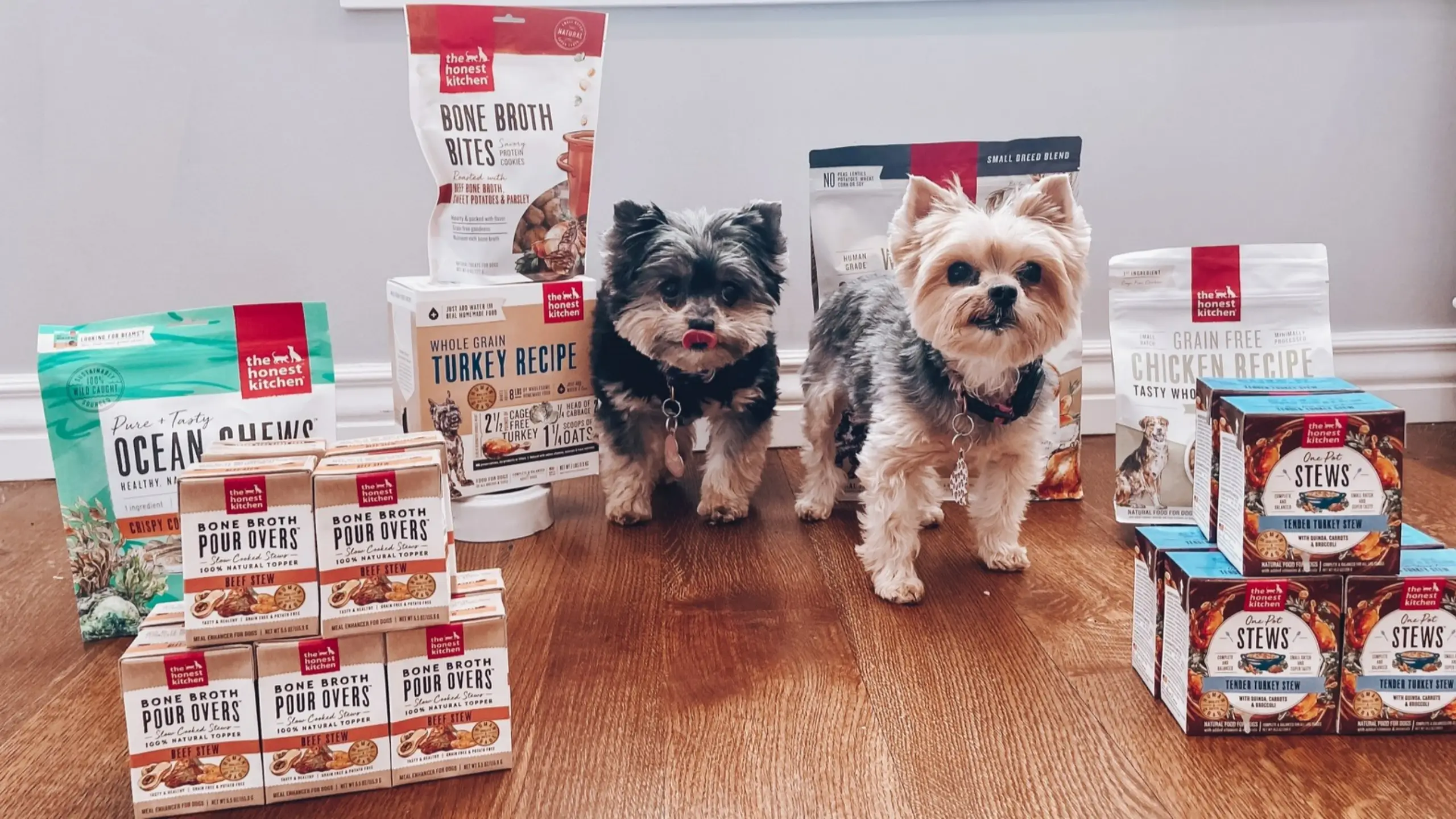 Transform Your Pet’s Diet with The Honest Kitchen: An Honest Review