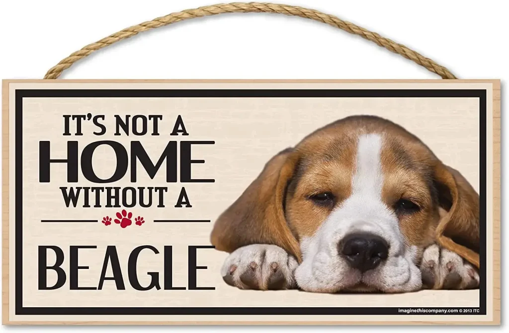 It's not a home without a beagle