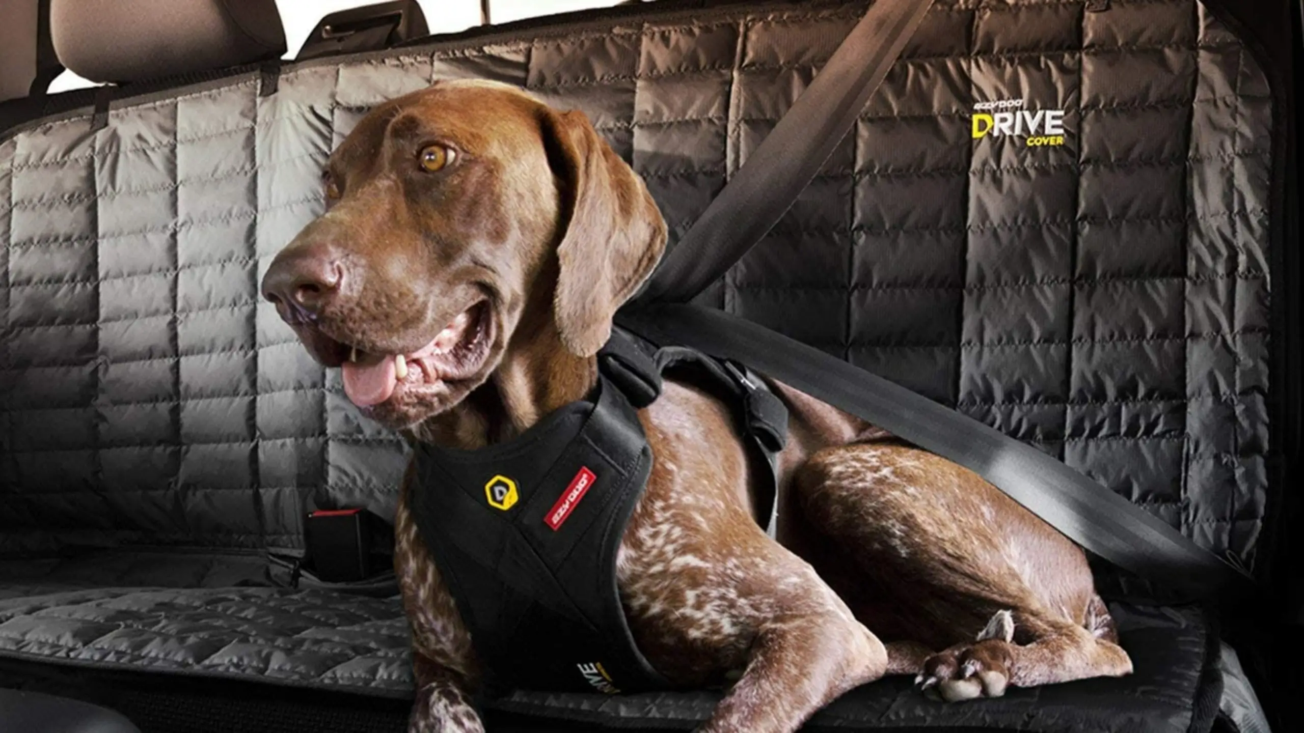 Top Dog Car Harnesses of 2023 - Crash Tested and Approved